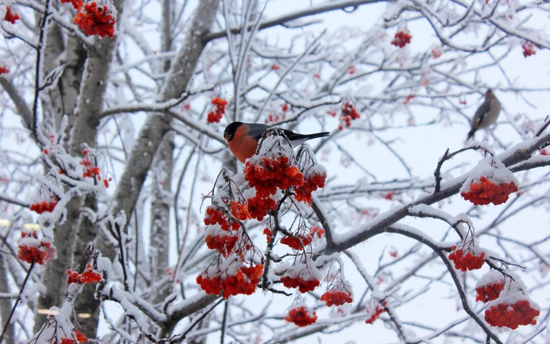 Mit Vergebung leichter ins Neue Jahr